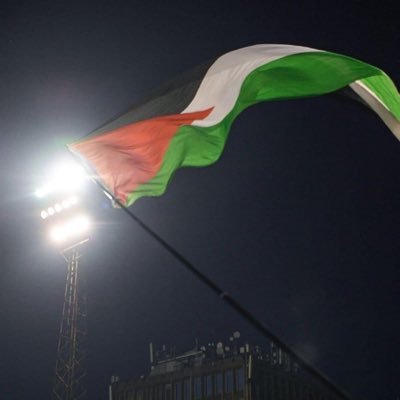 niqabi_gurl's profile picture. 🇵🇸