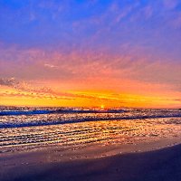 Ruck 🟧 ⛈️ 🟣 (@ruckruckgoose) 's Twitter Profile Photo