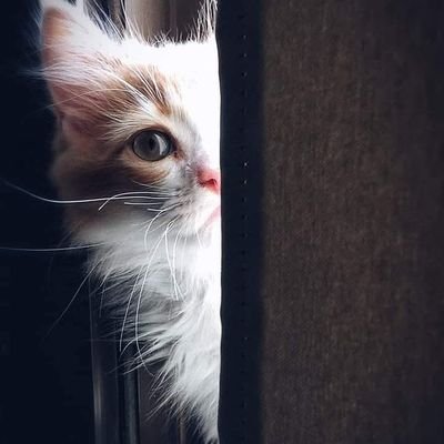 دینی سوچ، ادبی انداز — نرم لہجے میں حق کی بات
❤️