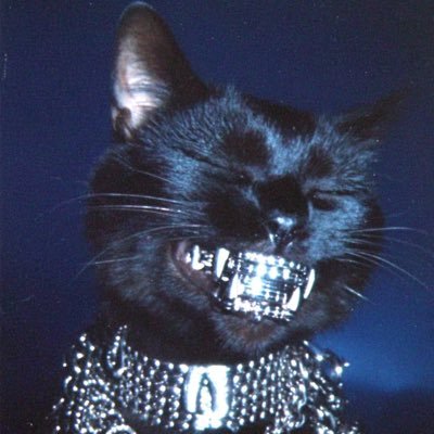 jogafcv's profile picture. raw-dogging C | electrical engineer