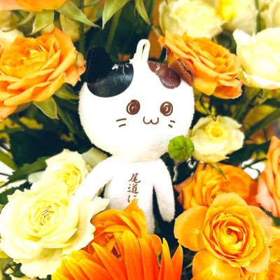 love_7k's profile picture. コスプレ垢🍎その時好きになった作品を思うままに。うみねこ熱高めステも大好き。よろしくお願いします。写真まとめ🏷️ #ほしぞぅPhoto