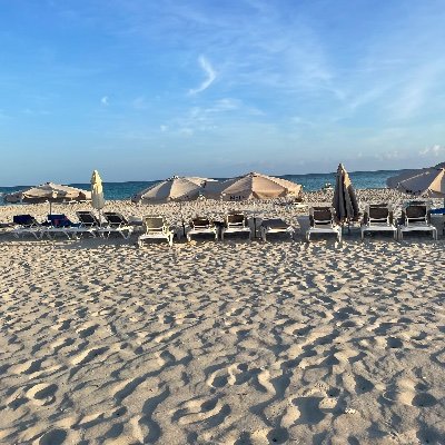 BakicJelena's profile picture. 