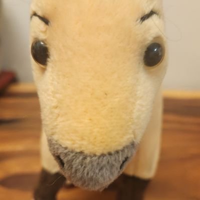 elcapitan310805's profile picture. 