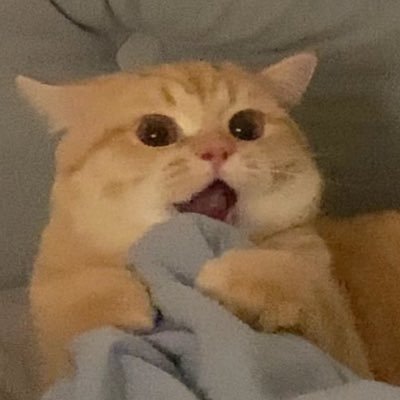 wdo__obw's profile picture. 🤖 📷 1_film