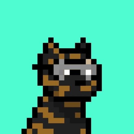 Brightmxta's profile picture. Gaming & Crypto Trader  | Networking & Creating •