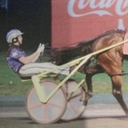 Carlton/West Perth/Scorchers/Dodgers/Philly Eagles and some harness racing