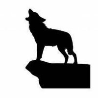絶滅してしまったニホンオオカミ・The extinct Japanese wolf (@4dokunukibest) 's Twitter Profile