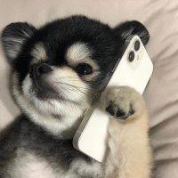 my acc my ออม ✌🏻ʕ⁠´⁠•⁠ ⁠ᴥ⁠•̥⁠`⁠ʔ (@minx_72s) 's Twitter Profile