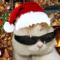 무즈 (@zer05moo) 's Twitter Profile