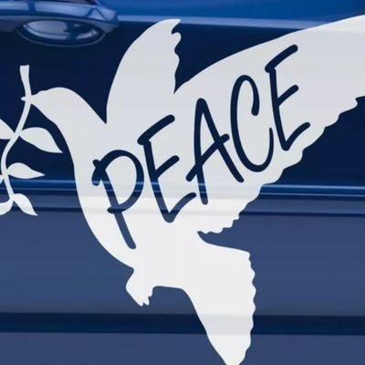 heidewitzka1809's profile picture. Mama und Oma mit Herz und Verstand, Oma gegen links, für die Zukunft unserer Kinder und Enkelkinder 🇩🇪💙🇩🇪 Selbstdenker- Parodie Account 🤡