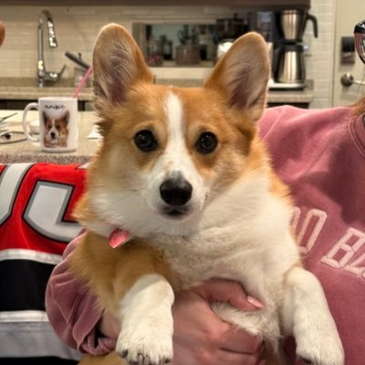 ZachJerger's profile picture. #RedWings, #goblue #tigers, #lions. odds are you'll unfollow my rambling at some point. opinions, posts, likes and retweets are my own, SEC hater, NBA LOATHER