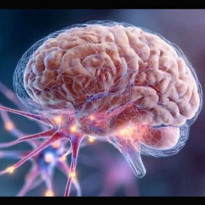 Mohamed3095556's profile picture. Intern at Alexandria Faculty of Medicine