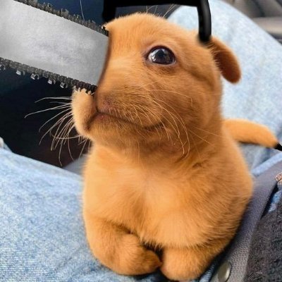 lavinci_dev's profile picture. 