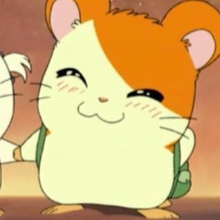 とらさんのプロフィール画像