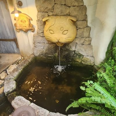 nng5bms Profile Picture