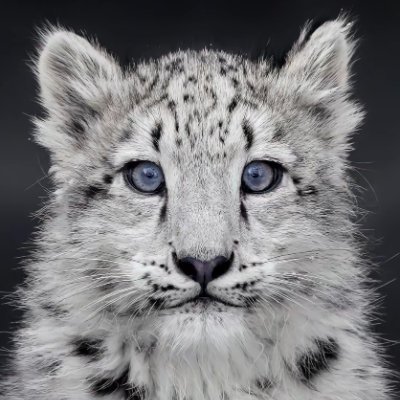 yvV7y4LIwW53673's profile picture. 