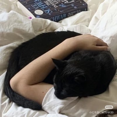 자이🐈‍⬛Heron119さんのプロフィール画像