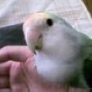 pr_ginger's profile picture. Publicist
LANY Entertainment
The Bay