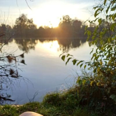 OblationWarrio1's profile picture. Here for fun.