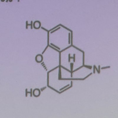 GULT2_'s profile picture. アントラキノン配糖体