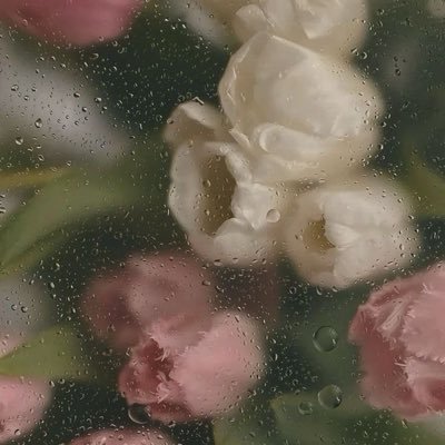 musique163's profile picture. shmzykrリア垢 へいぱす(っ'-')╮=͟͟͞͞🏀 みのり→菊の子→そのまま大泉→工芸A→玉川VA (+小免) →学芸大美教 特支芸術教育究めつつありけり