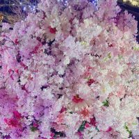 くる坂 (@_krsk_open) 's Twitter Profile