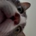 danky (@dankyff) Twitter profile photo danky (@dankyff) Twitter profile photo