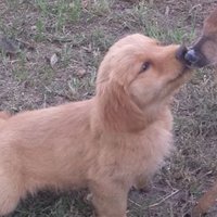 Svoth (@svotharts) 's Twitter Profile Photo Svoth (@svotharts) 's Twitter Profile Photo