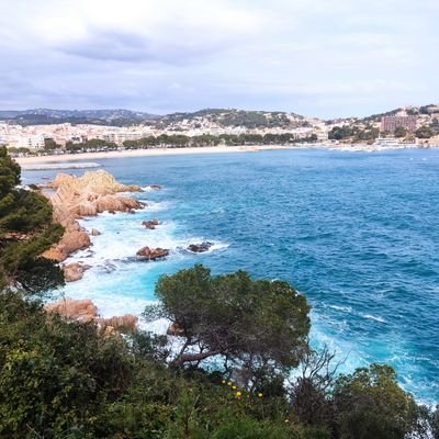 KPSOLIS's profile picture. 