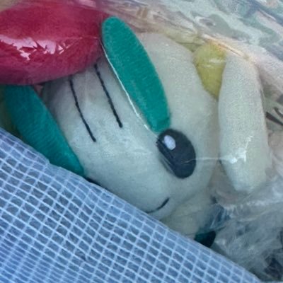 やおやさんのプロフィール画像