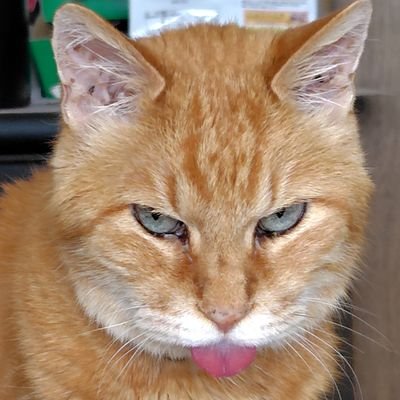 kawauso0301's profile picture. 平手友梨奈さんを応援しています。動き出した彼女の周りに穏やかな空気とディスカッションできるクリエイティブな環境があることを願っています。無言フォローは構いません。時々気づいていません💦そして無言フォローすいません💦