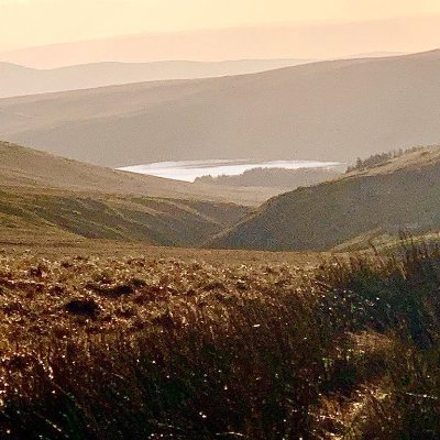 capel_cartref's profile picture. https://t.co/ywY7Wshe0W