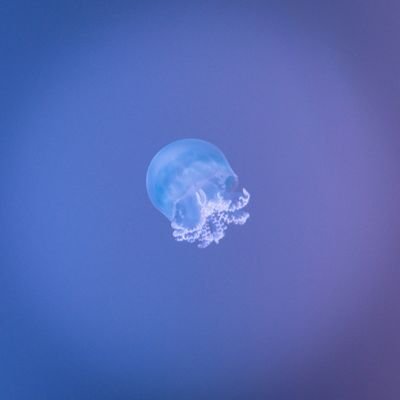 たぁさんのプロフィール画像