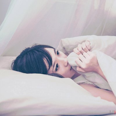 SharonAtki49591's profile picture. 