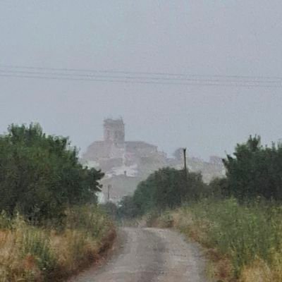 VicentCasanova's profile picture. Cal saber perdre amb classe i vèncer amb gosadia, perquè el món pertany a els qui s'atreveixen.