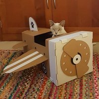 Kathryn Davies (@daisycat32) 's Twitter Profile