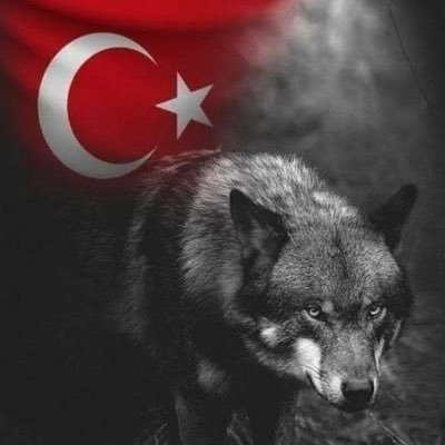 kutkikutki's profile picture. 