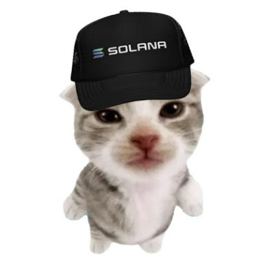 ABrosaurs58610's profile picture. broke aaaaah