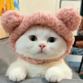 @AAinsum33395