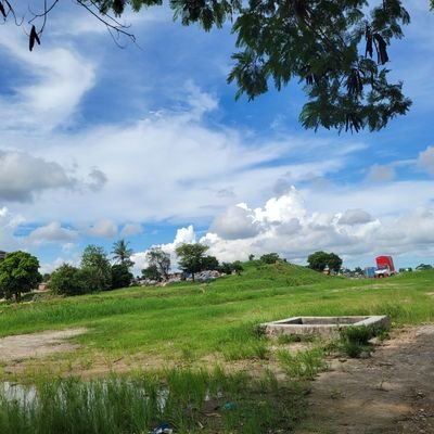 blomerweber's profile picture. Ai generated