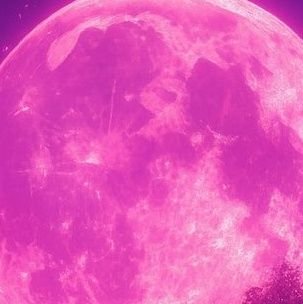 cryptoLMFAO's profile picture. October we g00n