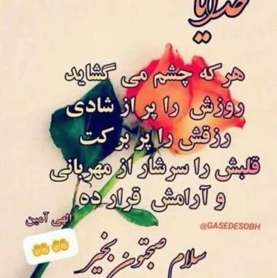 .انتقادی. اجتماعی . بازاری قدیم
فساد ستیز مذهبی غیر مکتبی
تحصیلات غیر حوزوی