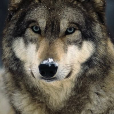 gary_fento6031's profile picture. FCUK the NCA