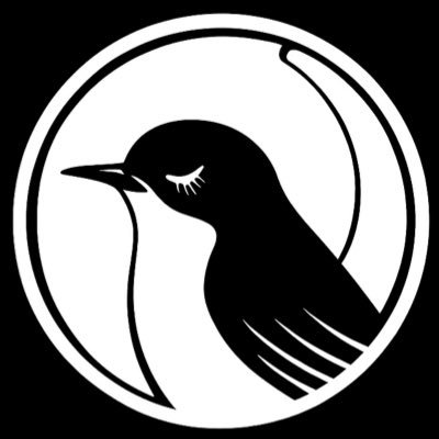 kettanwu's profile picture. 