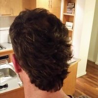 Aussiehorse (@aussiehorse1010) 's Twitter Profile