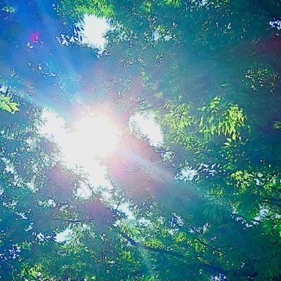 もっけの幸いさんのプロフィール画像
