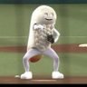 cfwg99999's profile picture. 好きなもの：オリックス
好きな銘柄など：ＪＲＣ、フジ日本、ノムラシステムコーポレーション、リソルHD
好きな食べ物:スクランブルエッグ、キュウリ
好きな会：忘年会
座右の銘：無味無臭