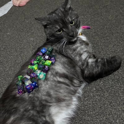 SG1Echo's profile picture. 23, they/them 🏳️‍🌈🏳️‍⚧️