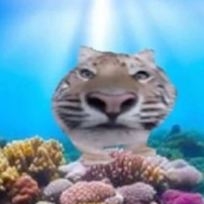 Umina__001's profile picture. Tora | 18↑ | 🇹🇭/🇬🇧| Very broken English |