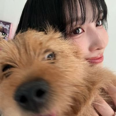 Hirai_Boo's profile picture. 